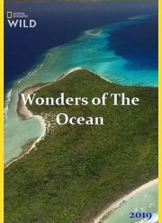 Чудеса океана (2019)