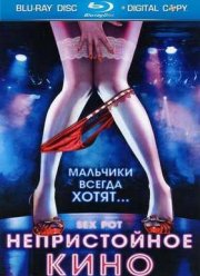 Непристойное кино (2009)