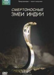 BBC: Живой мир. Смертоносные змеи Индии (2011)