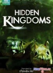 Сокрытые миры (2014) 1,2,3,4,5,6,7,8,9,10 Серия