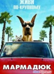 �������� (2010)