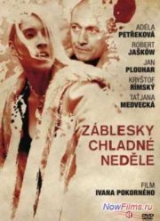 Проблеск в холодном воскресенье (2012)