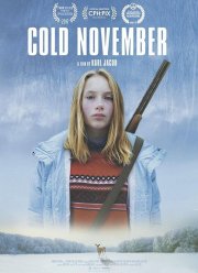 Холодный ноябрь (2017)