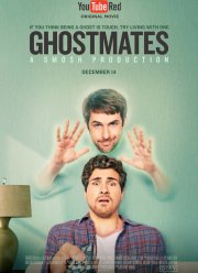 Сосед-призрак (2016)