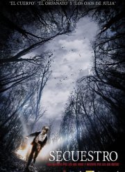 Похищение (2016)