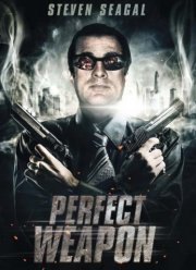 Совершенное оружие (2016)