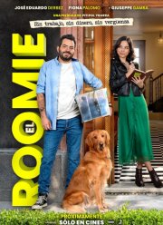 Комната (2024)