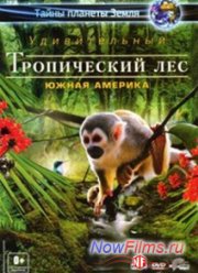 Тайны планеты Земля. Удивительный тропический лес: Южная Америка (2012)
