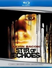 Отзвуки эха (1999)