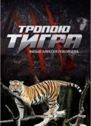 Тропою тигра (2015)
