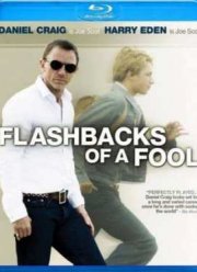 Воспоминания неудачника (2008)