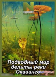 Подводный мир дельты реки Окаванго (2014)
