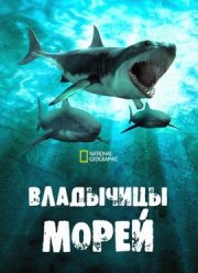 ��������� ����� (2022)