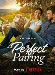 Идеальное сочетание (2022)