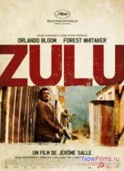 Теория заговора (2013)