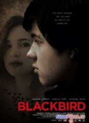 Чёрный дрозд (2012)