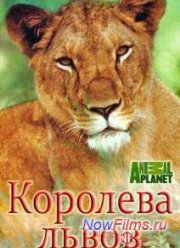 Королева львов (2015)