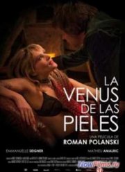 Венера в мехах (2013)