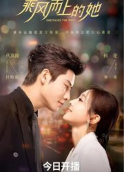 Вынужденная посадка в моем сердце (2025)