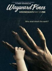 Сосны (2014-2016) 1-2 сезон