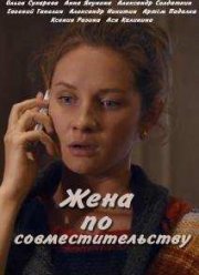 Жена по совместительству (2015)