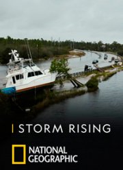 Поднимается буря (2021)