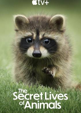Тайная жизнь животных (2024)