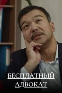 Бесплатный адвокат (2023)