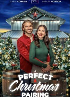 Идеальное рождественское сочетание (2023)