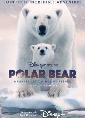 Белая медведица (2022)