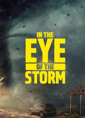 В эпицентре бури (2024)