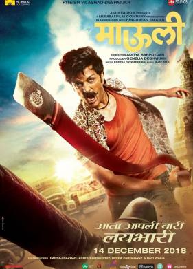 Инспектор Маули (2018)