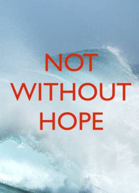 Выживший (2025)