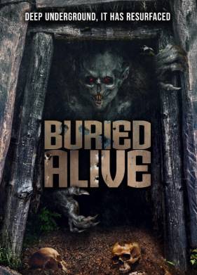 ������ ����������� (2025)