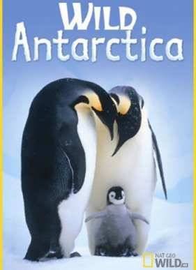 Дикая Антарктика (2015)