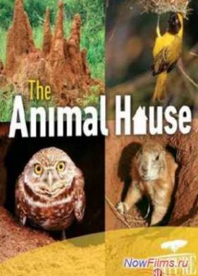 PBS: Природа - Дом животных (2011)