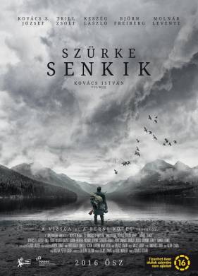 Серые посланцы (2016)