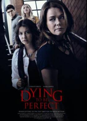 Цена совершенства (2022)