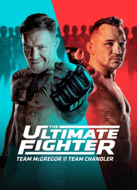 Универсальный боец (2005)