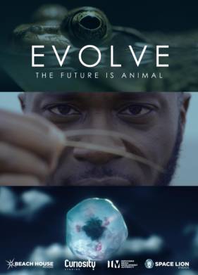 Эволюция (2021)