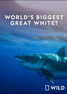 National Geographic. ����� ������� � ���� ����� �����? (2019)