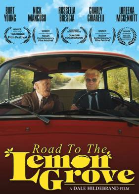 Дорога к лимонной роще (2019)