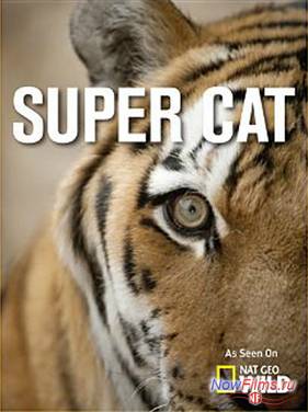Суперкошка (2013)