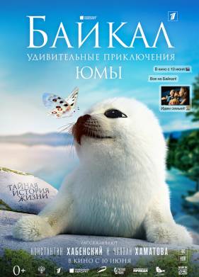 ������. ������������ ����������� ��� (2019)