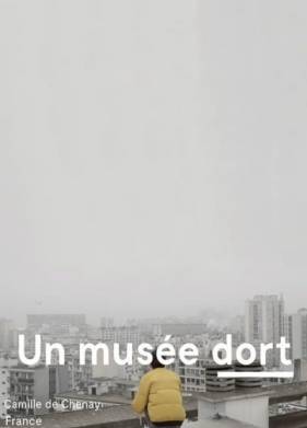 Музей спит (2020)