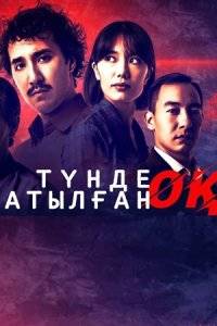 Выстрел ночью (2023)