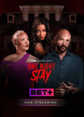 На одну ночь (2024)