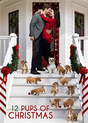 12 ����� ��������� (2019)