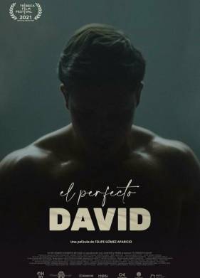 Идеальный Давид (2021)