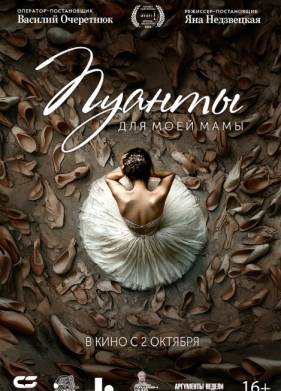 ������ ��� ���� ���� (2024)